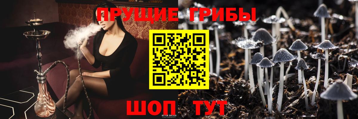 Воркута  Псилоцибиновые грибы MAGIC MUSHROOMS  Галлюциногенные грибы Magic Shrooms  Вход с VPN 